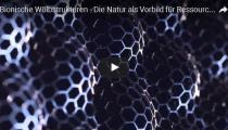 Bionische Wölbstrukturen
